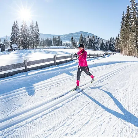 公寓 Active Alpin 1 韦斯滕多夫