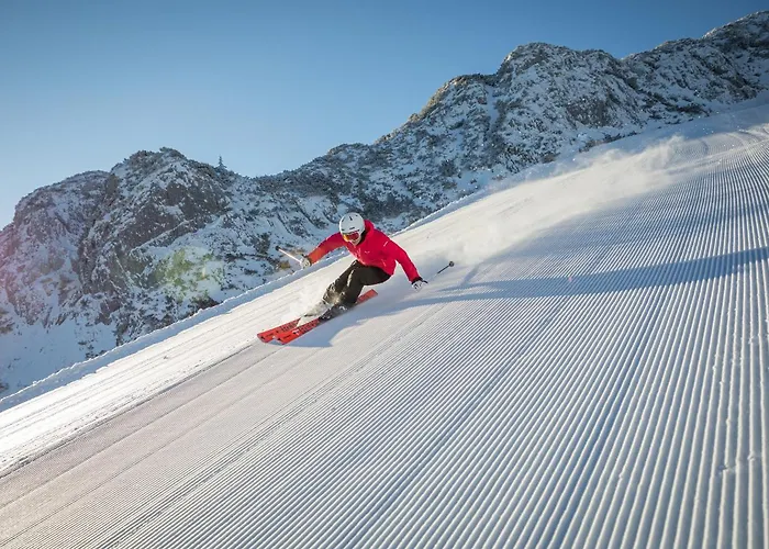 Active Alpin 1 Appartement *